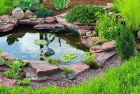 Ponds man made diy water pond feature